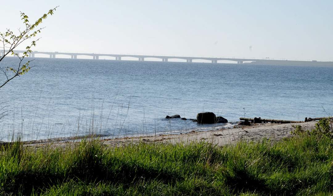 Storebæltsbroen i det fjerne.