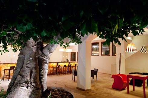 Baobab bar Foto: Essque Zalu.
