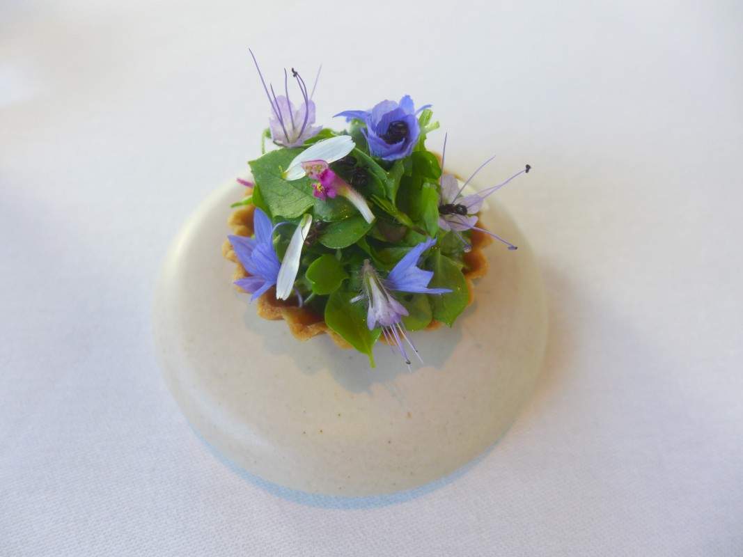 Grønnsaksterte med fennikel, grillet ung-hvitløk og skogsmaur.