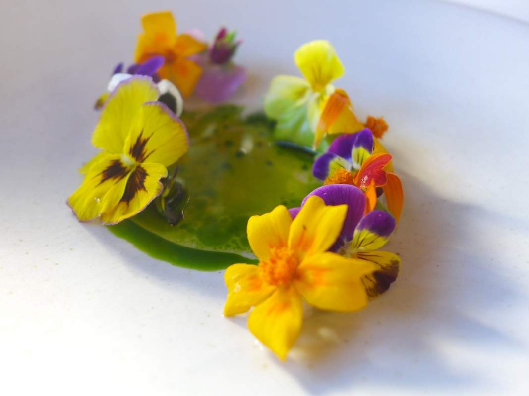 Hver bit smaker som norsk sommer. Blomstene har forskjellige smakstoner og retten er så deilig og vakker og man vil nesten ikke spise den av den grunn. Blomstene får de fra Sørenga, fra en mann som kommer med sykkelen sin og leverer blomstene mot at han får matavfall til kompost.