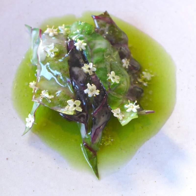 Biodynamisk grønt fra Bergsmyrene med svarthyll. Rått oksekjøtt fra Trøndelag med fermentert hvitløk og vinaigrette laget på røkt beinmarg.