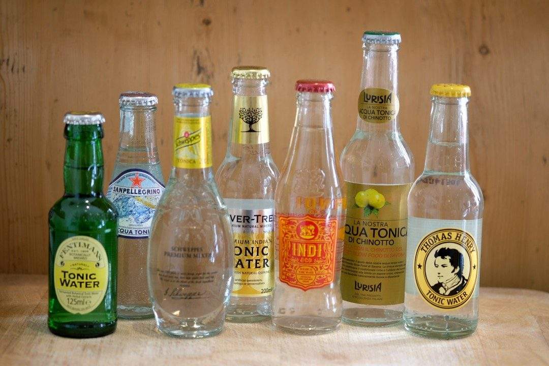 Hvilken tonic til gin