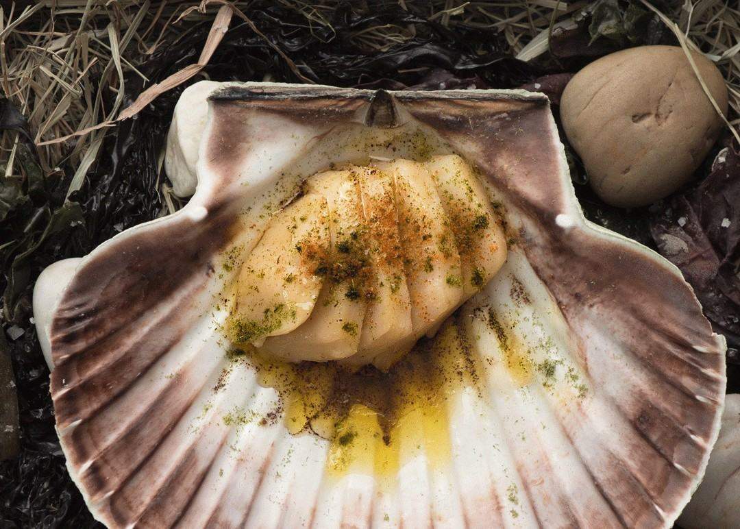 Kamskjell i eget skjell med tørket rogn og fingerlime-dashi. (Foto: Frantzén)