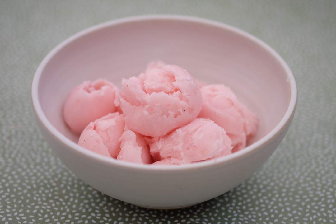 Hjemmelaget rabarbrasorbet.