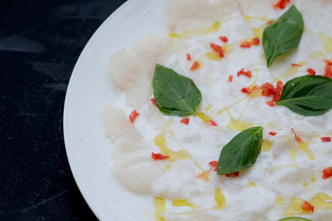 Carpaccio av kveite med lime og kokos.