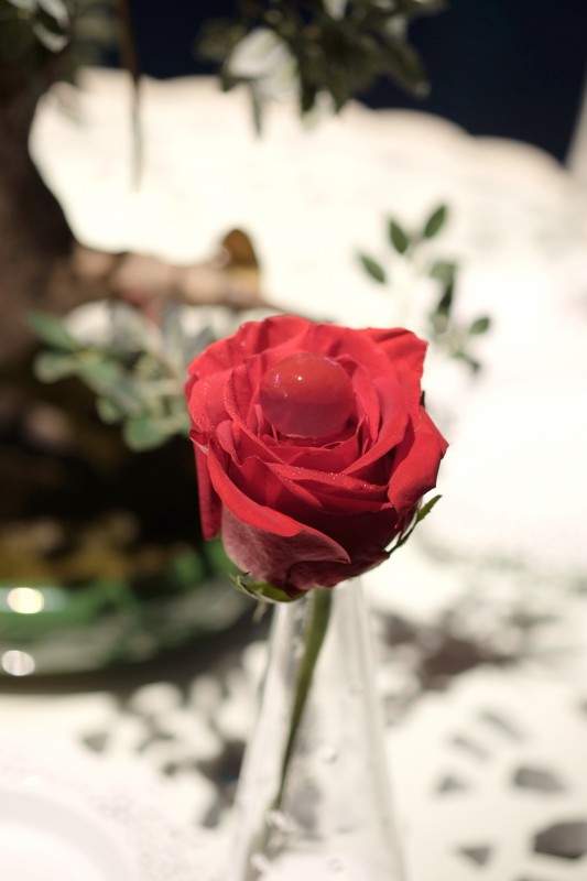 Rosen.
