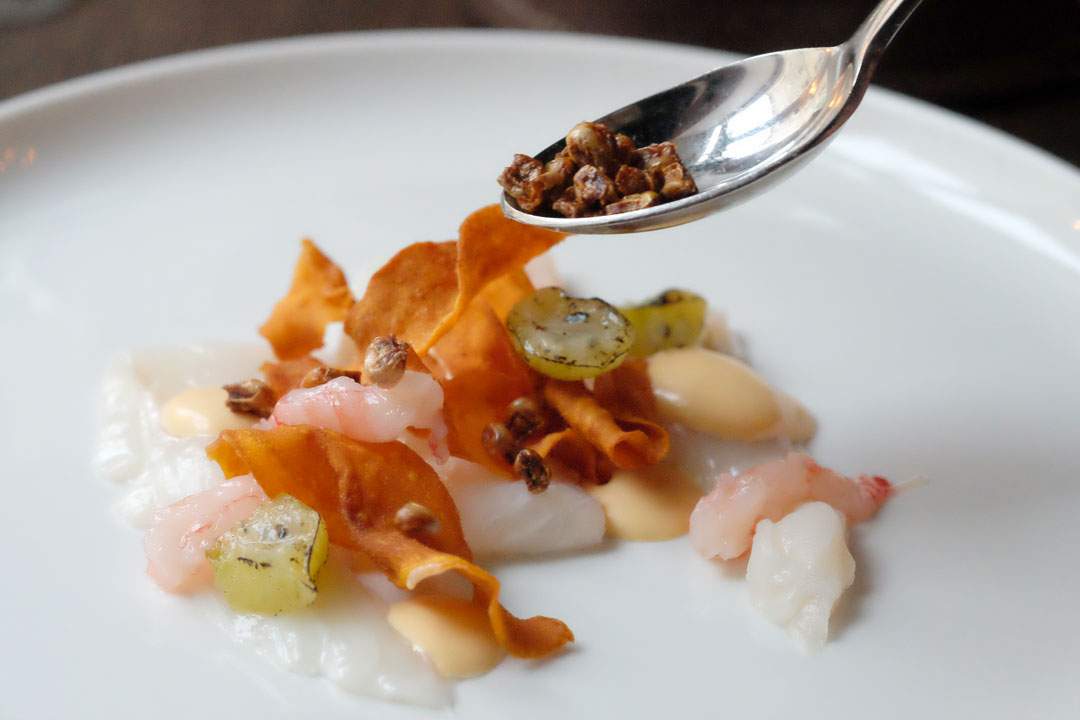 Nordisk ceviche laget av tynne skiver kveite. Istedet for sitrus har de brukt stikkelsbærsaft for å "koke" fisken slik man gjør med en ceviche. Retten serveres med rå reker, grillede stikkelsbær, fritert søtpotet, majones laget på bakte hvitløk og søtpotet og puffa mais.