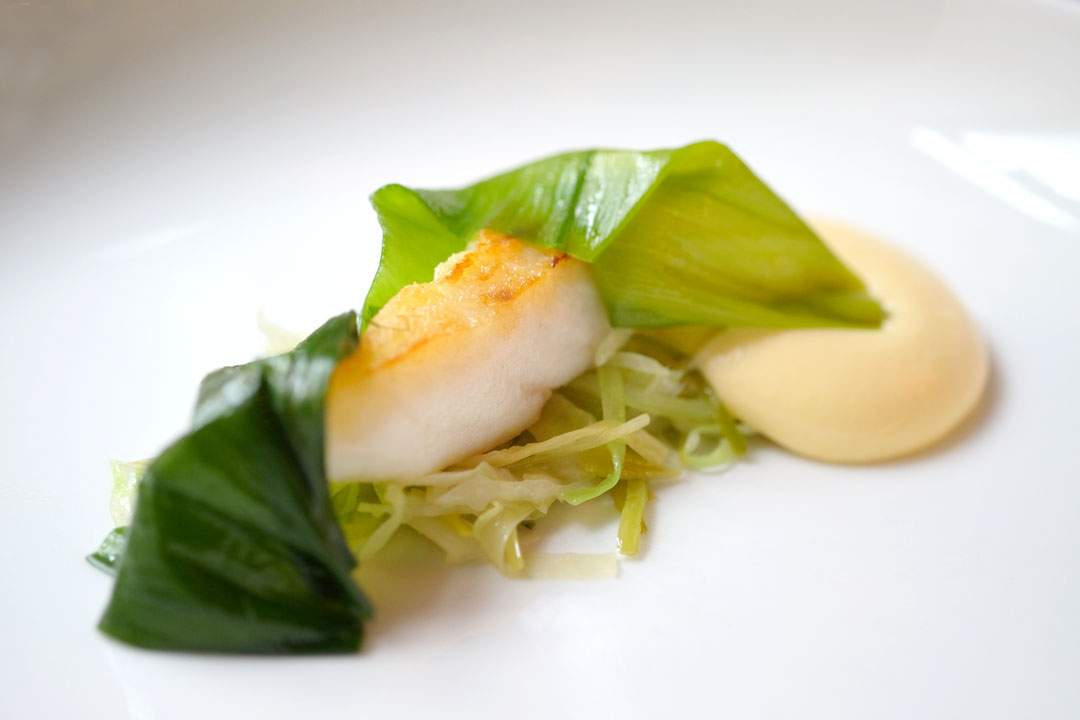 Pannestekt villpiggvar med kål og purre servert med en fantastisk hollandaise laget på brunet smør. Hvorfor er ikke all mat i verden laget med brunet smør, egentlig?