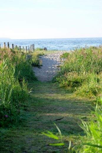 Stranden ved Molskroen har fin sandstrand.