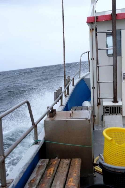 Det er sjø. Skikkelig sjø i følge oss landkrabber. Et lite vindpust ifølge fiskerne.