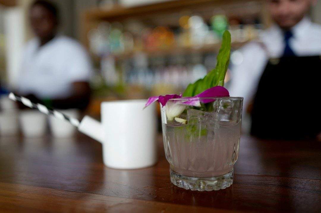 Antonios cocktails.