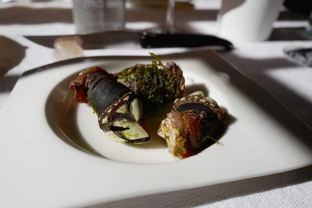 Goose barnacle
