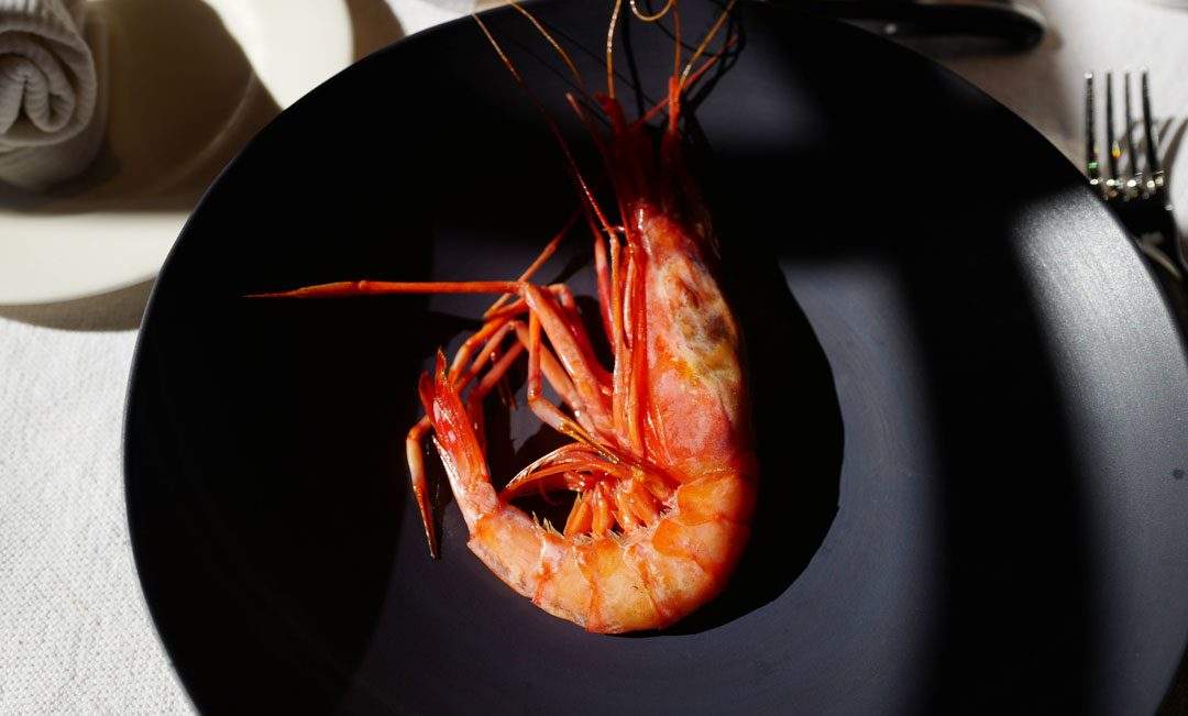 Reke fra Palamós.